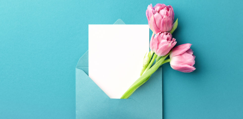 Pink tulips and white card in envelope. 1125133291 1258x83820190531085757 d5a66a90a658faf3f55b08f7b654c4b120190531085757 2b446ac34fa04f8fcd4a823e21697254 980x480